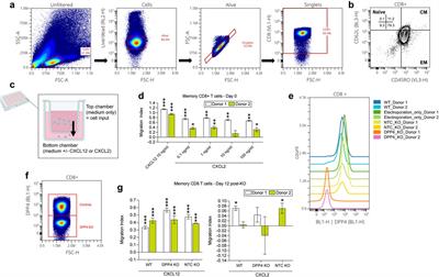 Immune disease dialogue of chemokine-based cell communications as revealed by single-cell RNA sequencing meta-analysis